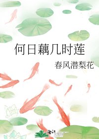 《何日藕幾時蓮》