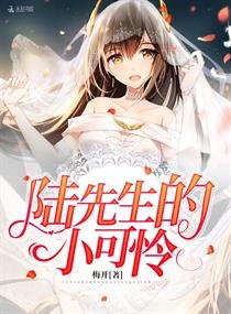 《陸先生的小可憐》