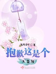 《抱歉這是個大冒險》