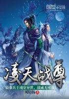 《凌天戰尊》