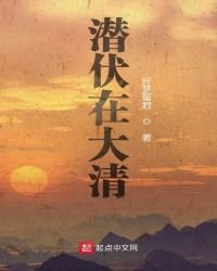 《潛伏在大清》