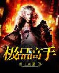 《極品高手》