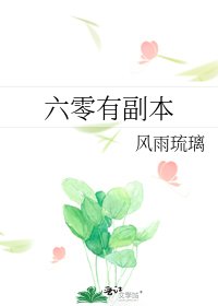 《六零有副本》
