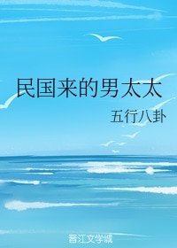 《民國來的男太太》