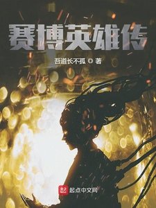 《賽博英雄傳》