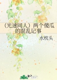 《(光速同人)兩個傻瓜的混亂記事》
