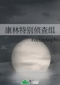 康林特別偵查組