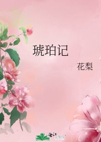 琥珀記