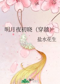 《明月夜初曉(穿越)》