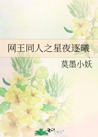 《網王同人之星夜逐曦》