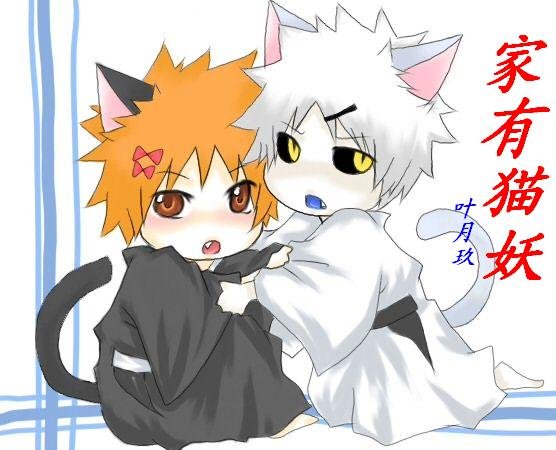 《(死神白一同人)家有貓妖》