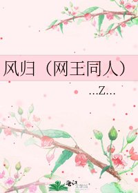 《風歸(網王同人)》