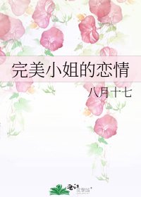 《完美小姐的戀情》