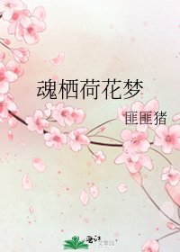 魂棲荷花夢