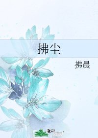 《拂塵》
