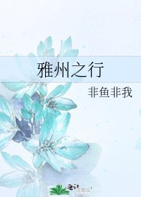 《雅州之行》