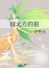 《嫁北方的狼》