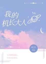 《我的機長大人》