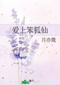 《愛上笨狐仙》