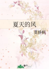 《夏天的風》