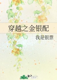 穿越之金銀配