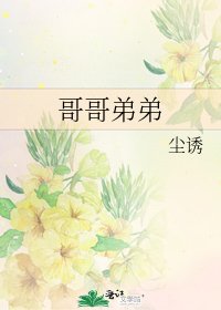 《哥哥弟弟》