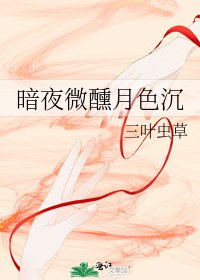 《暗夜微醺月色沉》