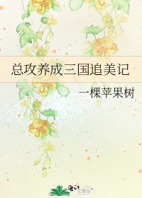 《總攻養成三國追美記》