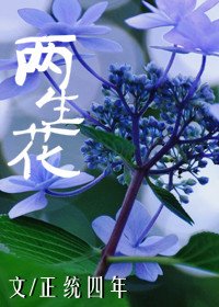 《兩生花》