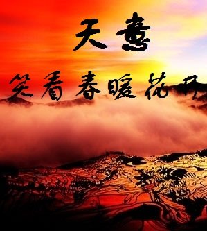 《天意》