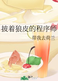 《披着狼皮的程序師》