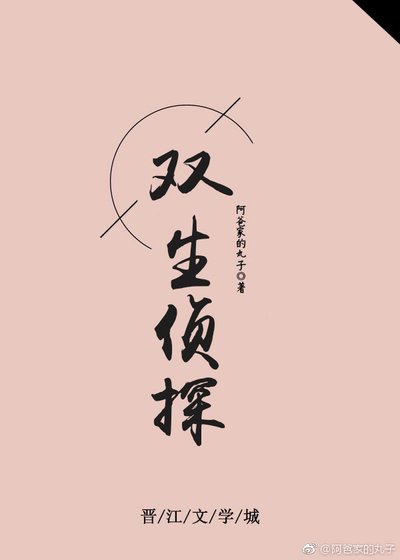 《雙生偵探》