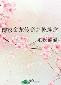 《傅家金龍傳奇之乾坤盒》