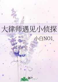 《大律師遇見小偵探》