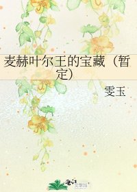 《麥赫葉爾王的寶藏(暫定)》