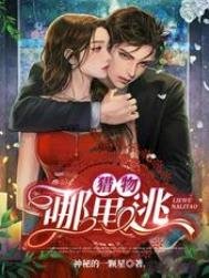 《獵物哪裏逃》