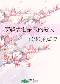 《穿越之誰是我的愛人》
