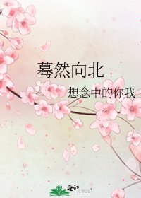 驀然向北
