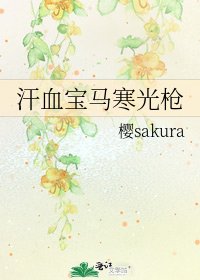 《汗血寶馬寒光槍》