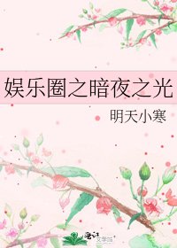 《娛樂圈之暗夜之光》
