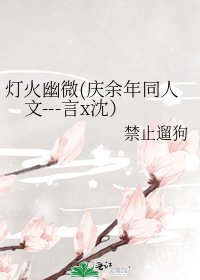 燈火幽微(慶餘年同人文---言x沈）