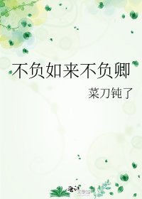 《不負如來不負卿》