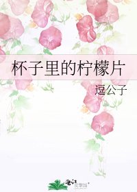 杯子裏的檸檬片