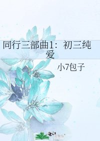 《同行三部曲1:初三純愛》