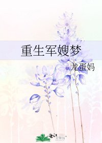 重生軍嫂夢