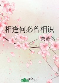 《相逢何必曾相識》