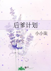 《後爹計劃》