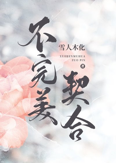 《不完美契合》