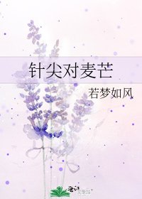 《針尖對麥芒》