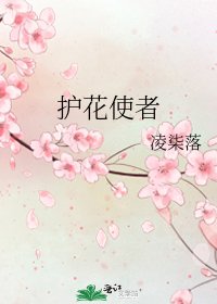 《護花使者》